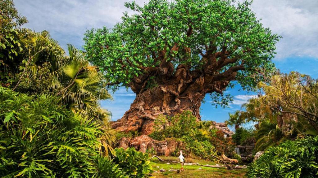 Disney'S Animal Kingdom Lodge Four Corners Exterior foto